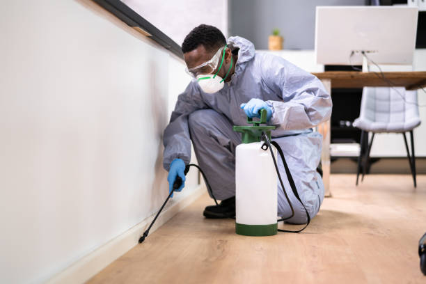 Best Fumigation Services  in Beloit, KS